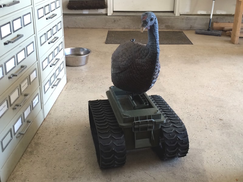 turkeyDayRobot